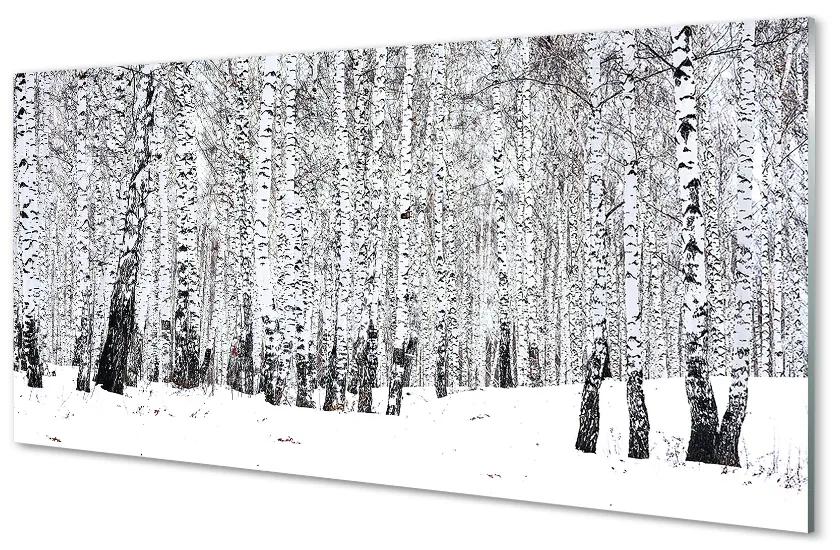 Obraz plexi Zimný brezy 125x50 cm