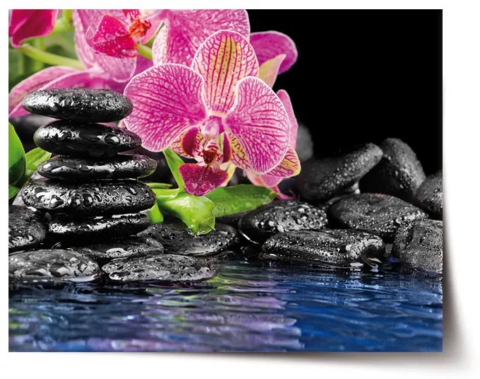 Sablio Plagát Orchidea na kameňoch - 90x60 cm