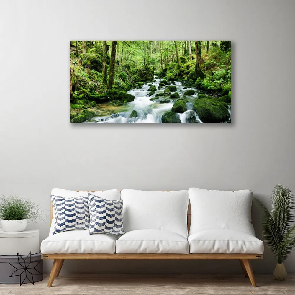 Obraz Canvas Les potok vodopády rieka 140x70 cm