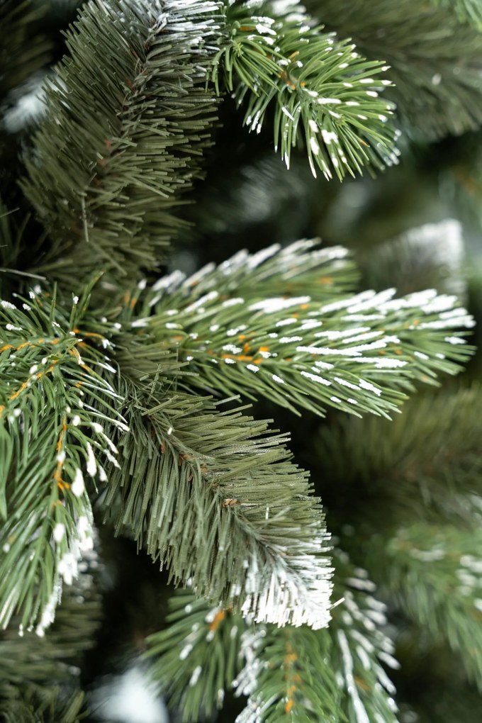 Limpol Vianočný stromček borovica Lamia 170 cm