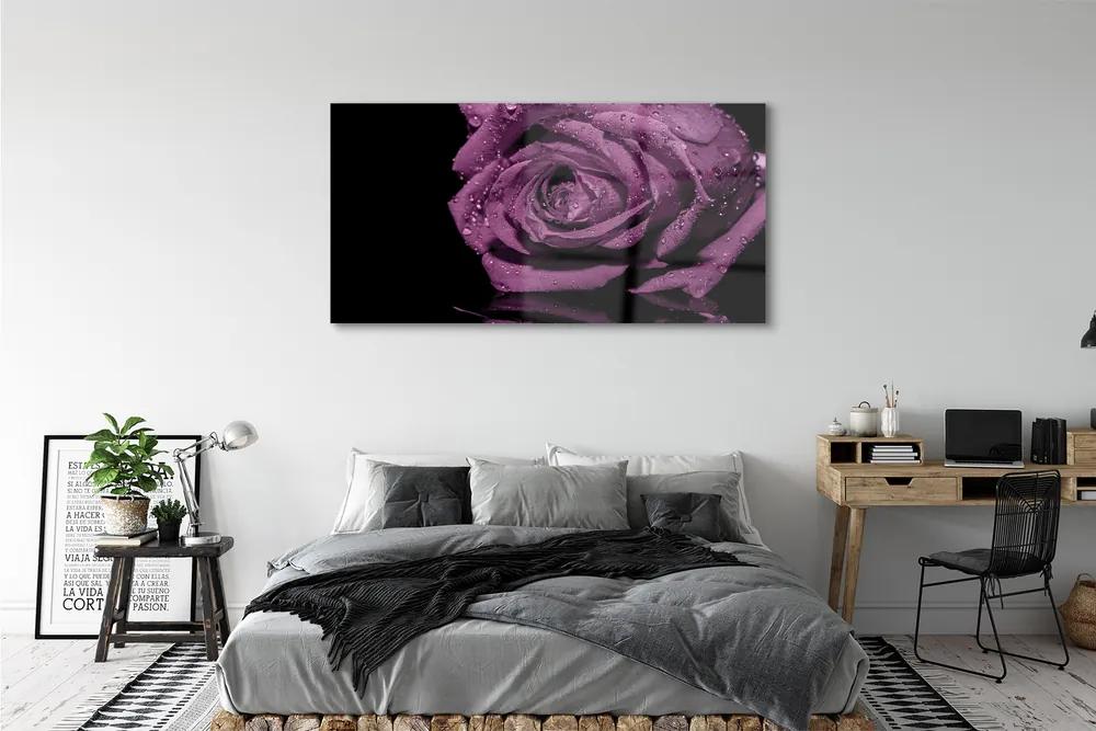 Obraz plexi Purpurová ruža 140x70 cm