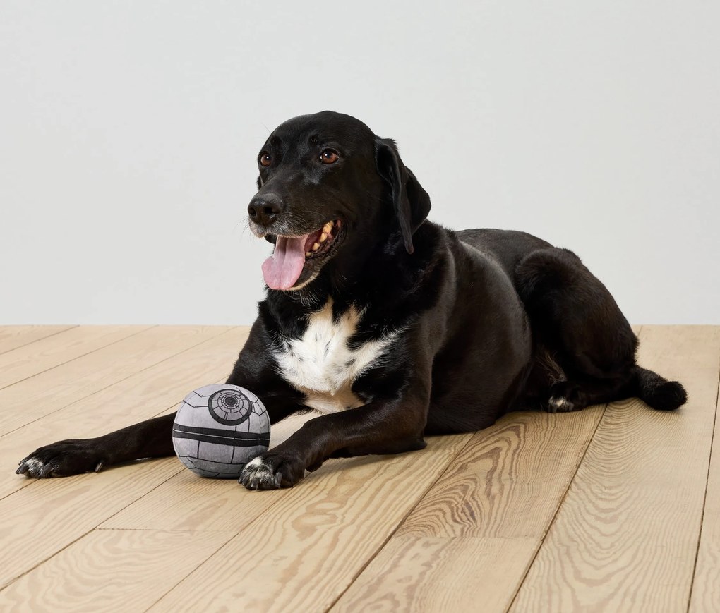 Pískacia plyšová loptička pre psov »Star Wars«