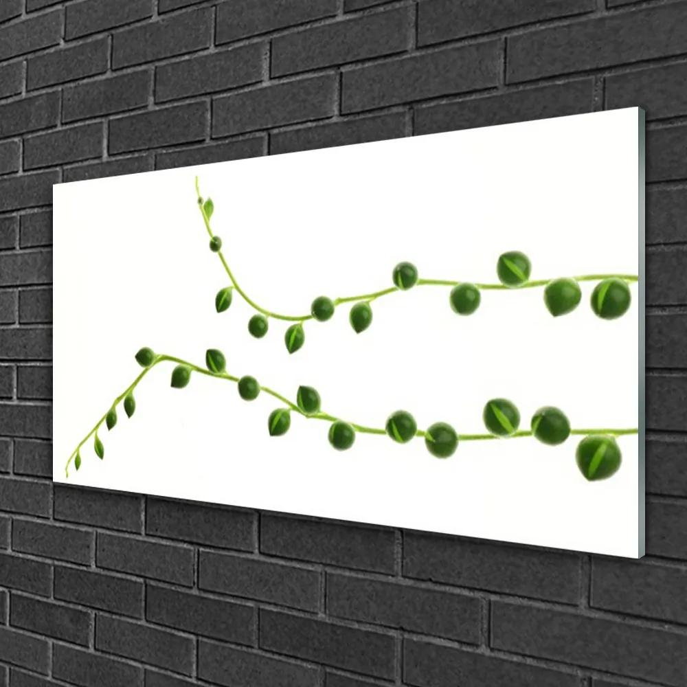 Obraz na skle Dekoratívne rastlina 120x60 cm
