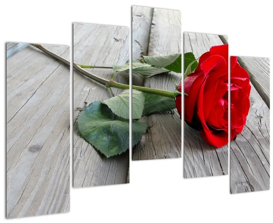 Obraz ruže