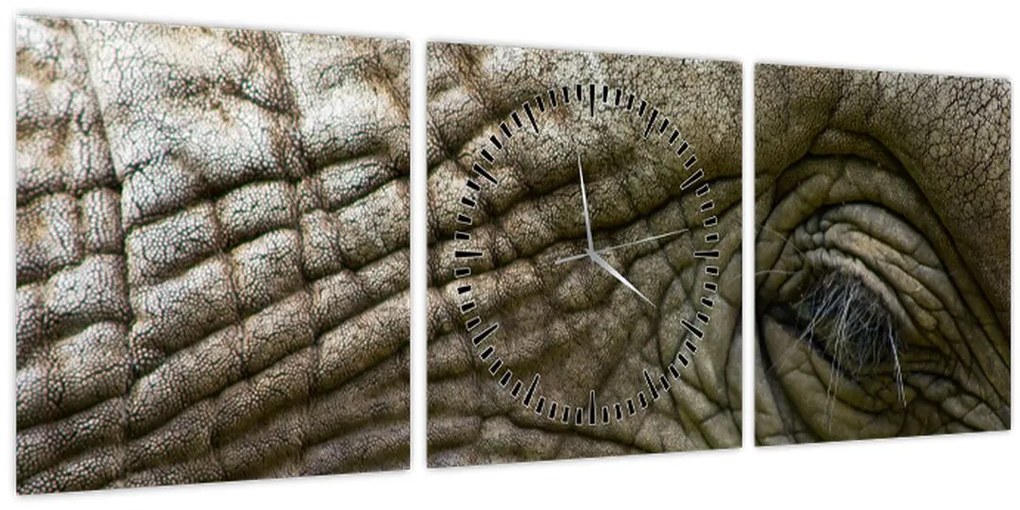 Obraz - Detailné fotografie starého slonieho oka (s hodinami) (90x30 cm)