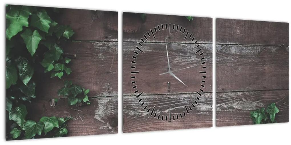 Obraz - Brečtan (s hodinami) (90x30 cm)