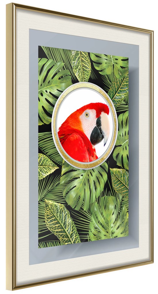Artgeist Plagát - Parrot In The Jungle [Poster] Veľkosť: 30x45, Verzia: Čierny rám s passe-partout