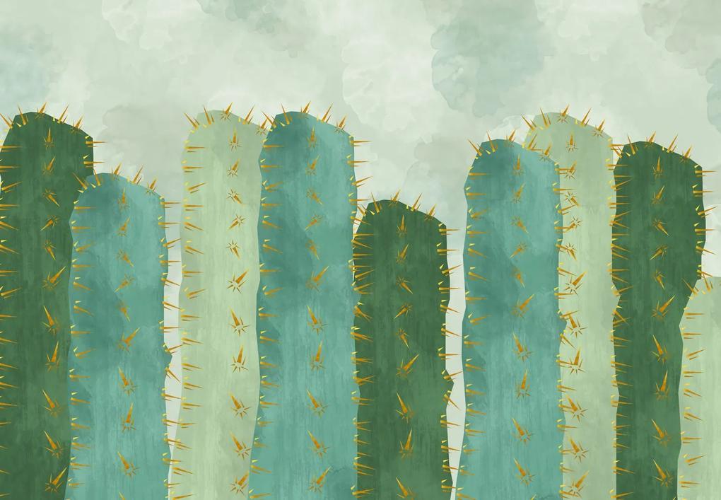 Fototapeta - Kaktusy (147x102 cm)
