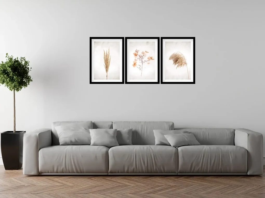 Gario Sada plagátov Dry nature - 3 dielna Farba rámu: Zlatá, Rozmery: 99 x 45 cm