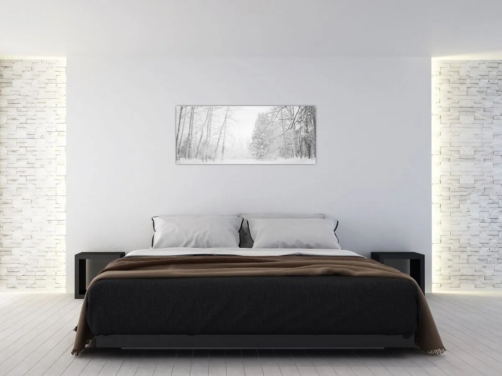 Obraz - Drevené mólo v zime (120x50 cm)