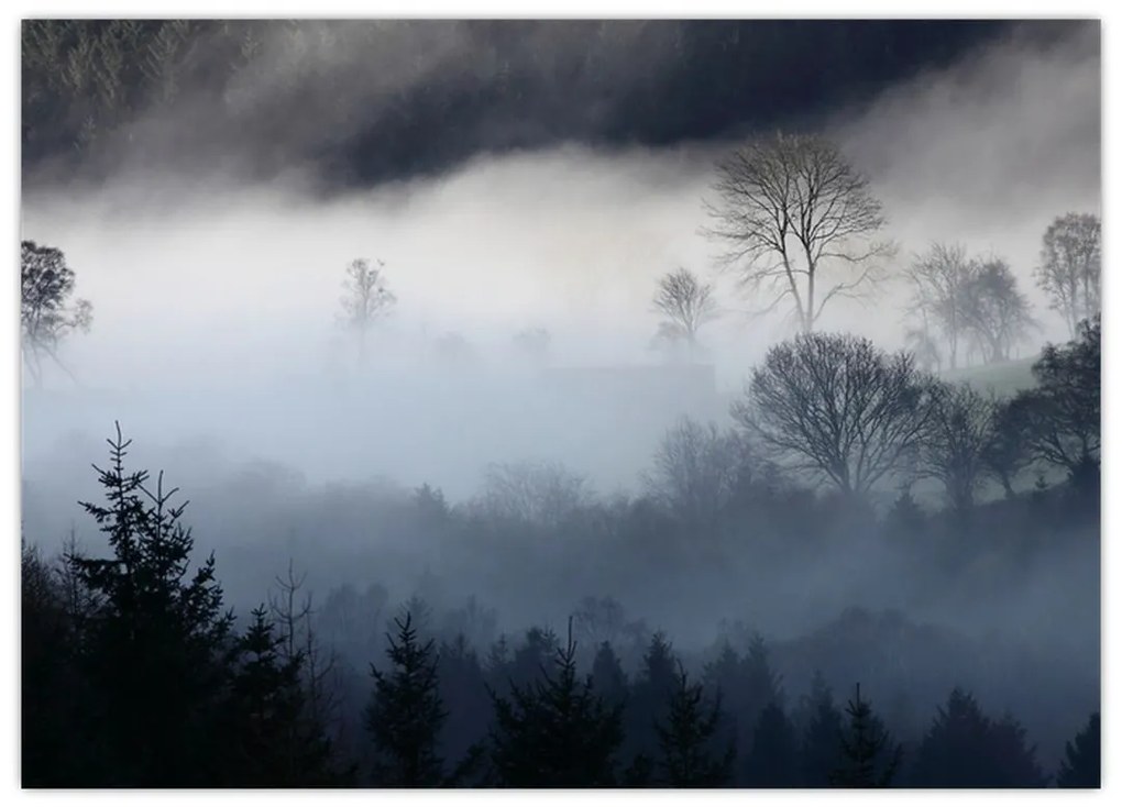Obraz hmly nad lesom (70x50 cm)