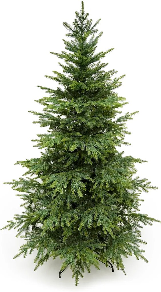 Smrek Kaukazský 3D- 190cm