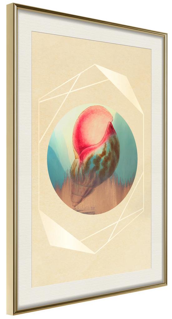Artgeist Plagát - Seashell [Poster] Veľkosť: 40x60, Verzia: Zlatý rám s passe-partout
