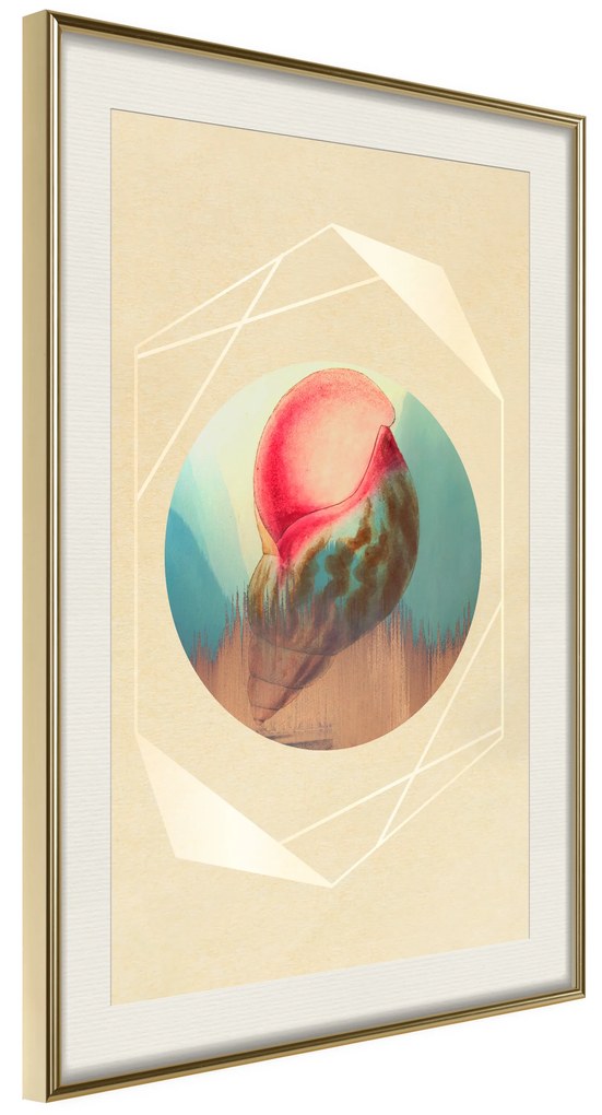 Artgeist Plagát - Seashell [Poster] Veľkosť: 40x60, Verzia: Zlatý rám