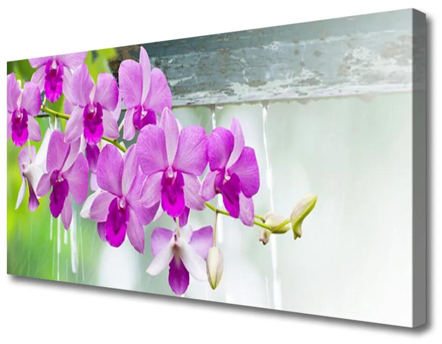 Obraz Canvas Orchidey kvapky príroda 140x70 cm