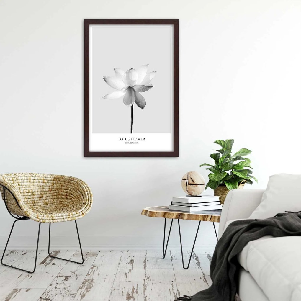 Gario Plagát Biely lotosový kvet Farba rámu: Bez rámu, Rozmery: 30 x 45 cm