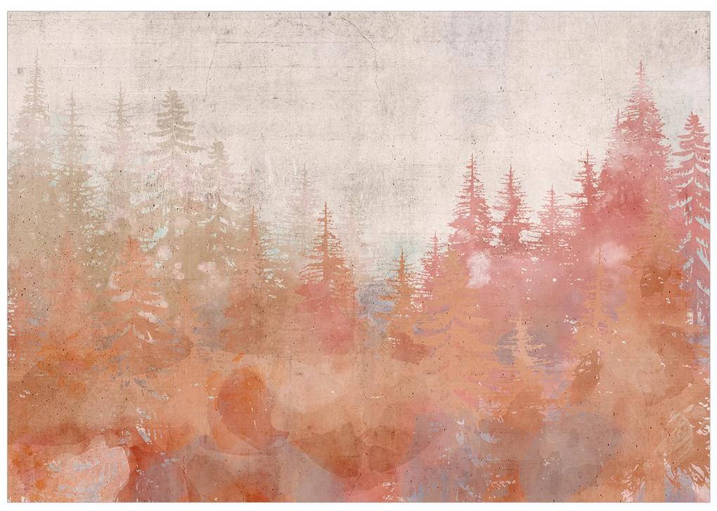 Artgeist Fototapeta - Forest at Sunset Veľkosť: 196x140, Verzia: Samolepiaca