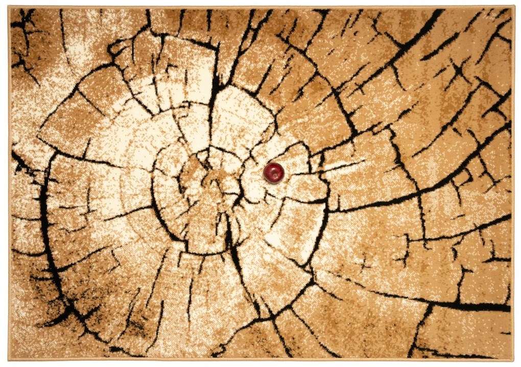 Alfa Carpets, Kusový koberec Superwood brown, 160x230, hnedá, chodba / predsieň