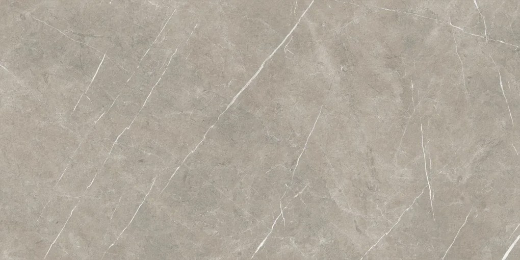 Dlažba Eternal Taupe Natural 80x160 R