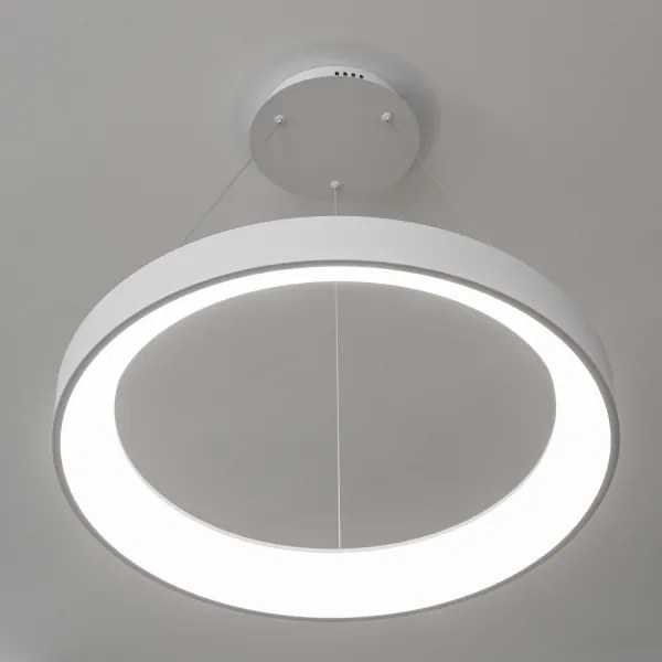 Brilagi - LED stmievateľný luster na lanku FALCON II LED/99W/230V priemer 60 cm biela + diaľkové ovládanie