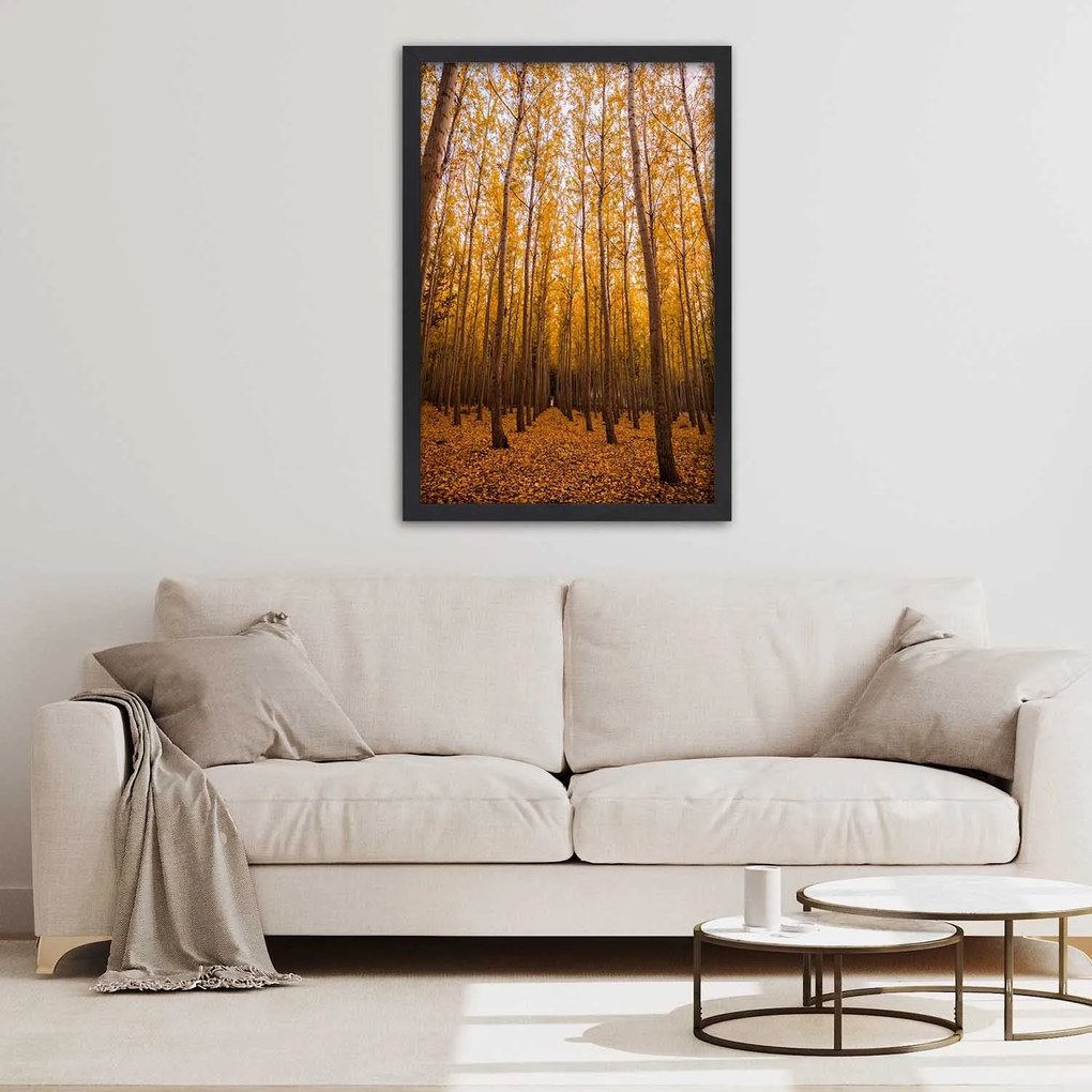 Gario Plagát Zlatý les na jeseň Farba rámu: Bez rámu, Rozmery: 60 x 90 cm