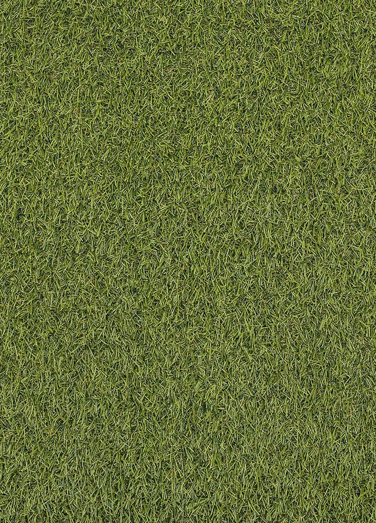 Koberce Breno Umelá tráva SPECTAL 2015, šíře role 400 cm