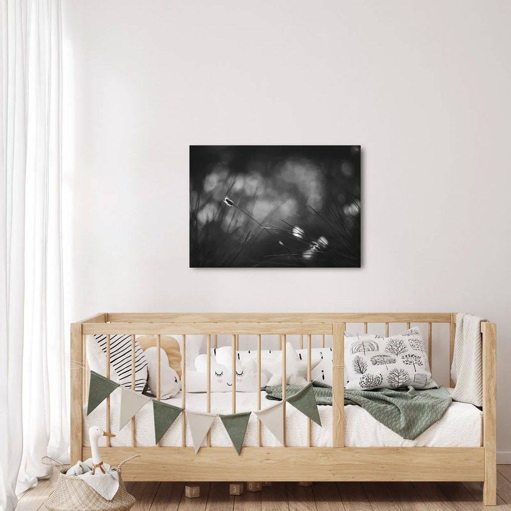 Obraz - Lúčna tráva (70x50 cm)