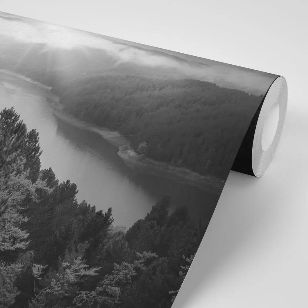 Samolepiaca fototapeta rieka uprostred lesa v čiernobielom prevedení - 150x100