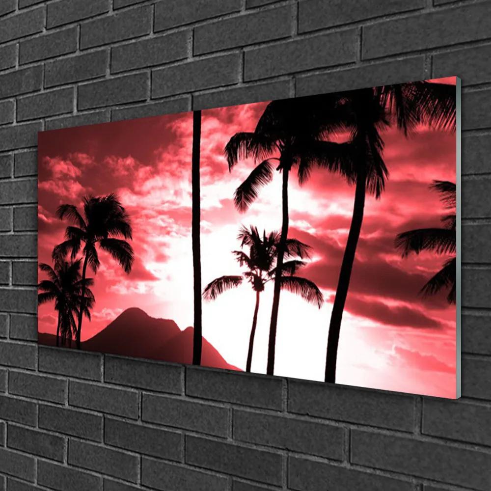 Obraz na skle Hora palmy stromy príroda 120x60 cm