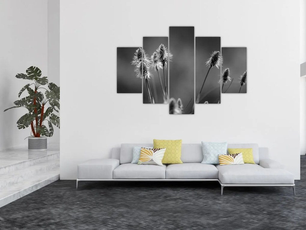 Obraz - Béžová soft grass N⁰2 (150x105 cm)