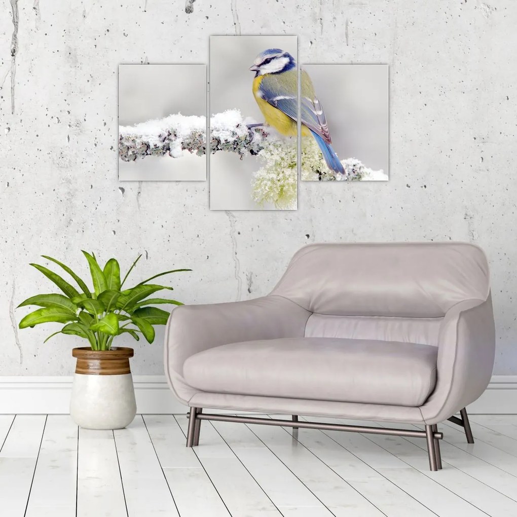 Obraz - Sýkorka modrinka v lese (90x60 cm)