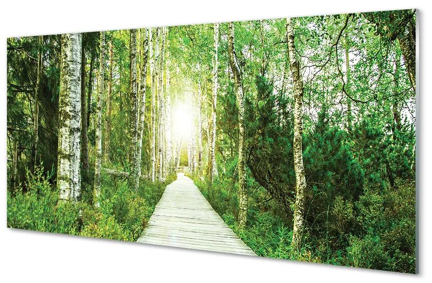 Obraz plexi Breza lesná cesta 125x50cm