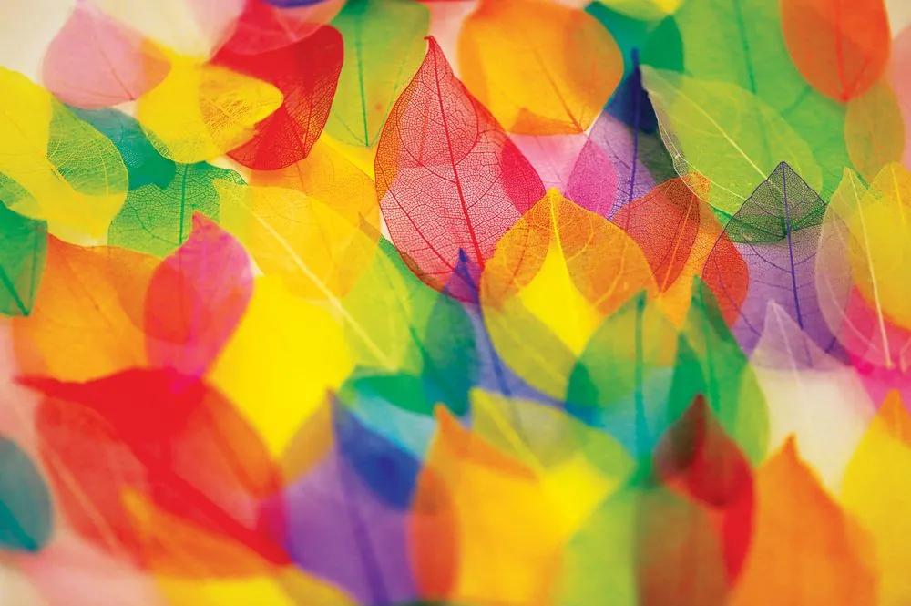 Samolepiaca tapeta listy v jesenných farbách