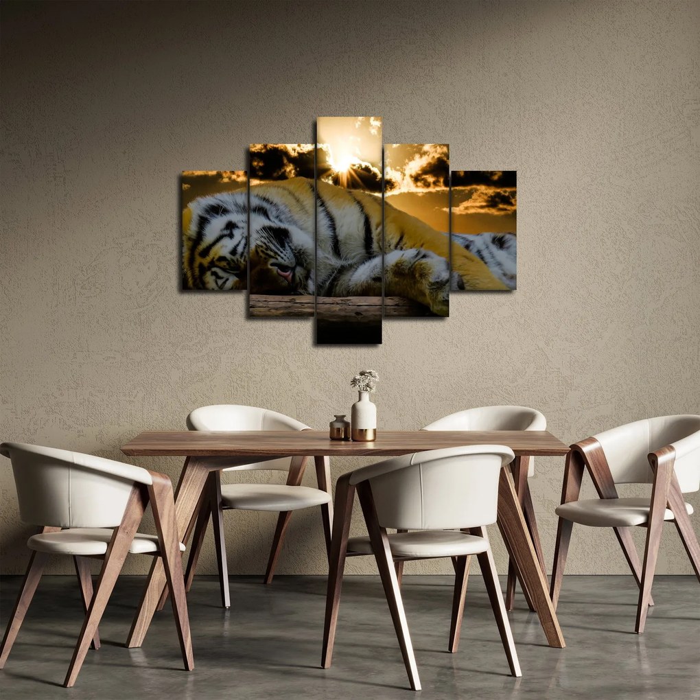 Obraz spiaceho tigra (150x105 cm)