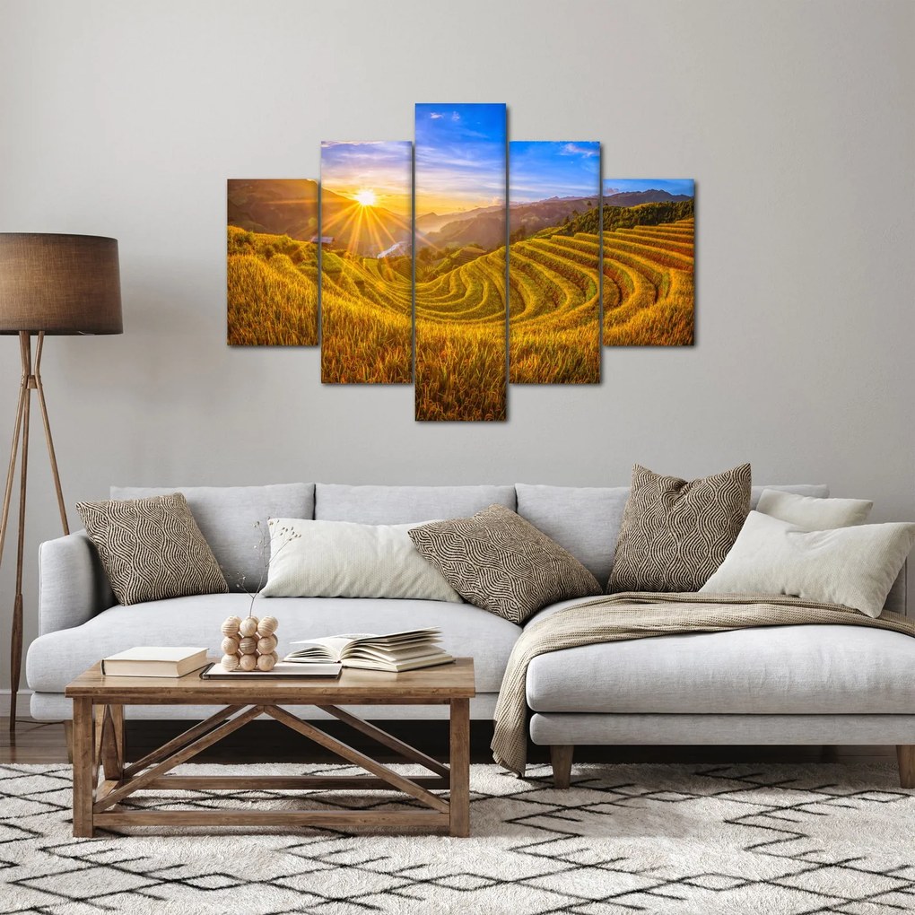 Obraz - Ryžové terasy vo Vietname (150x105 cm)