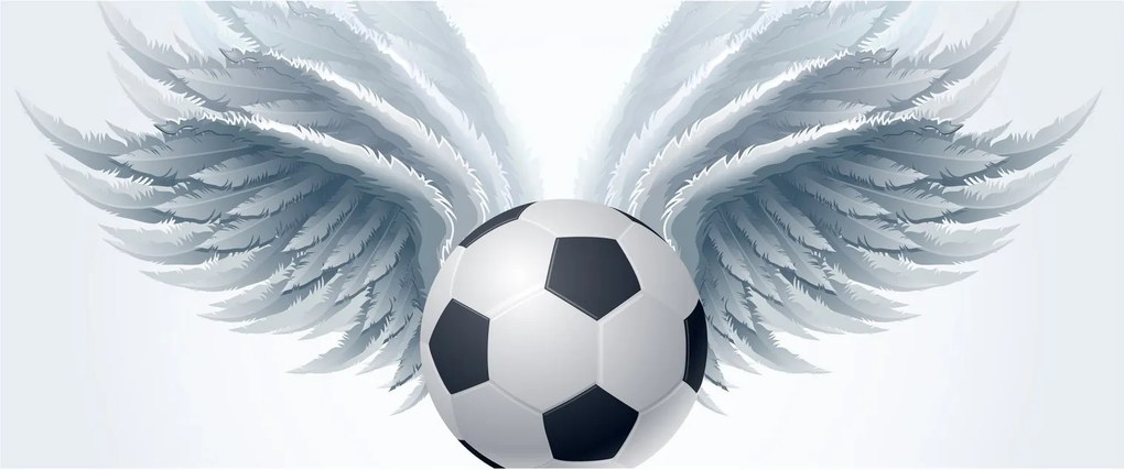Obraz - Balón s krídlami (120x50 cm)