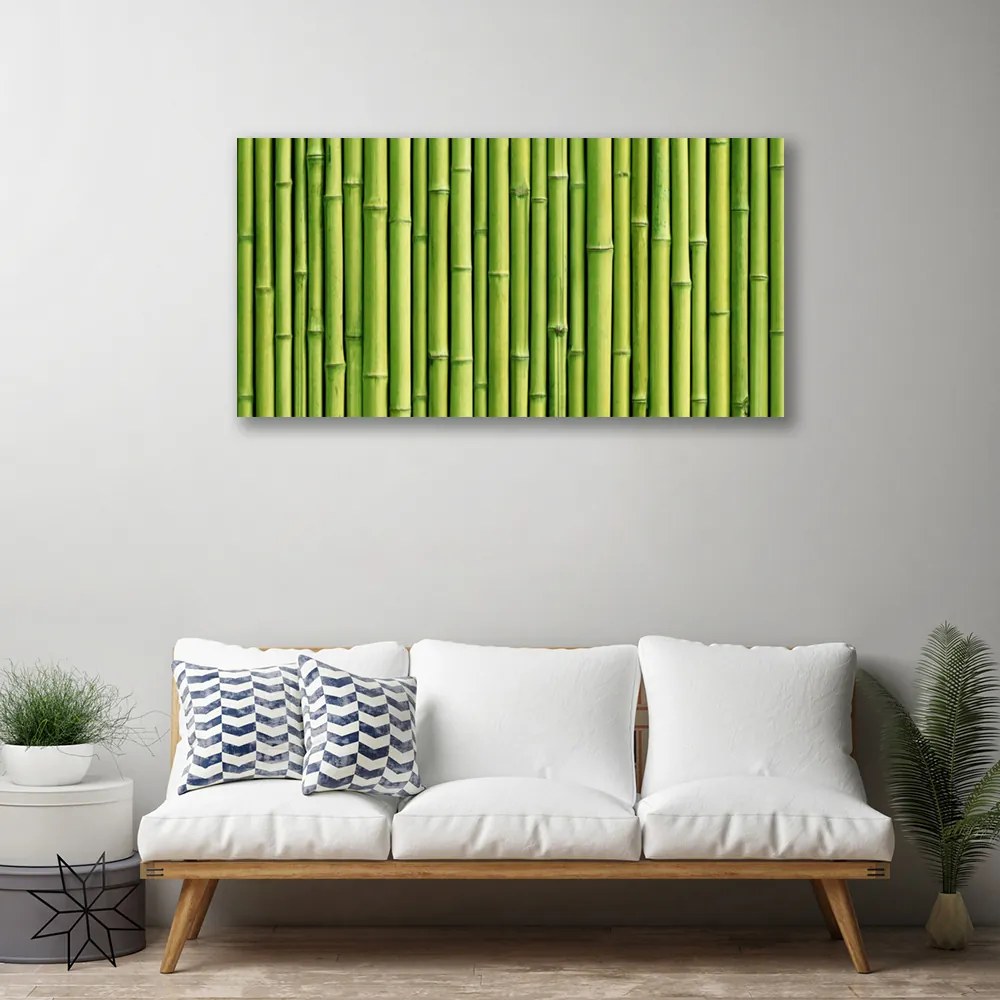 Obraz Canvas Bambus rastlina príroda 125x50 cm