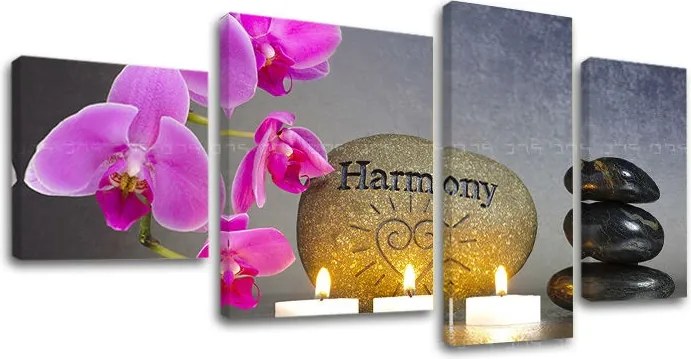 Obraz na plátne FENG SHUI