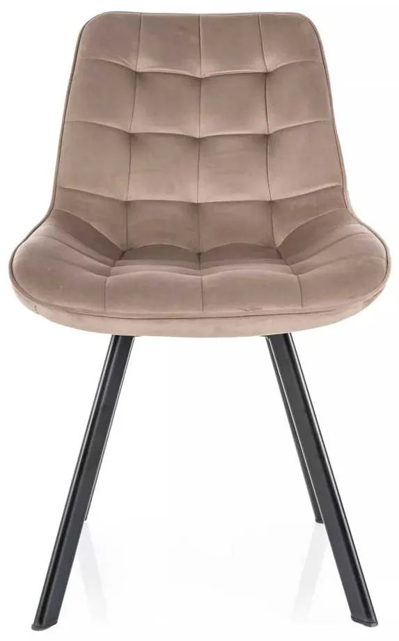 Jedálenská stolička Albons Velvet, béžová