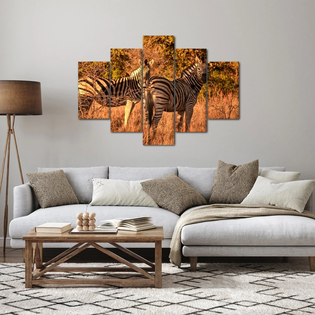 Obraz zebier (150x105 cm)