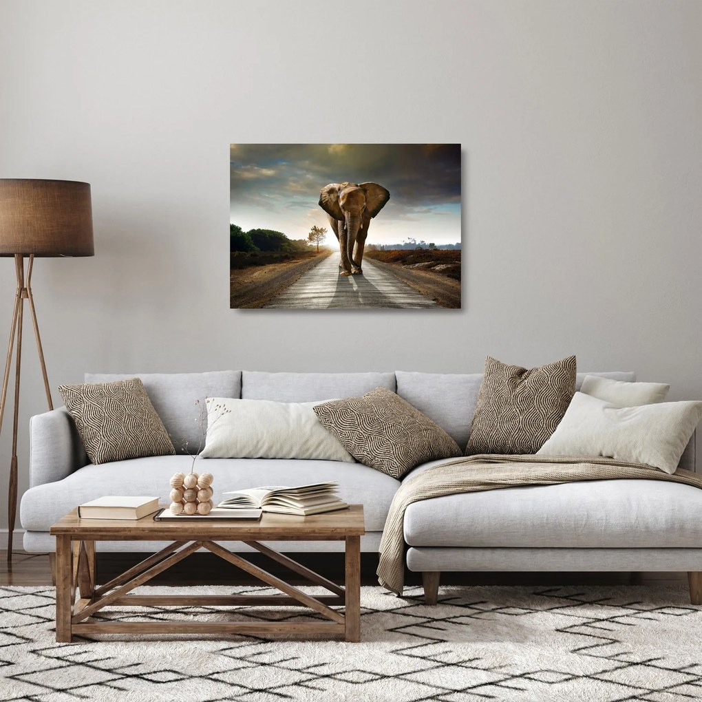 Sklenený obraz slona (70x50 cm)