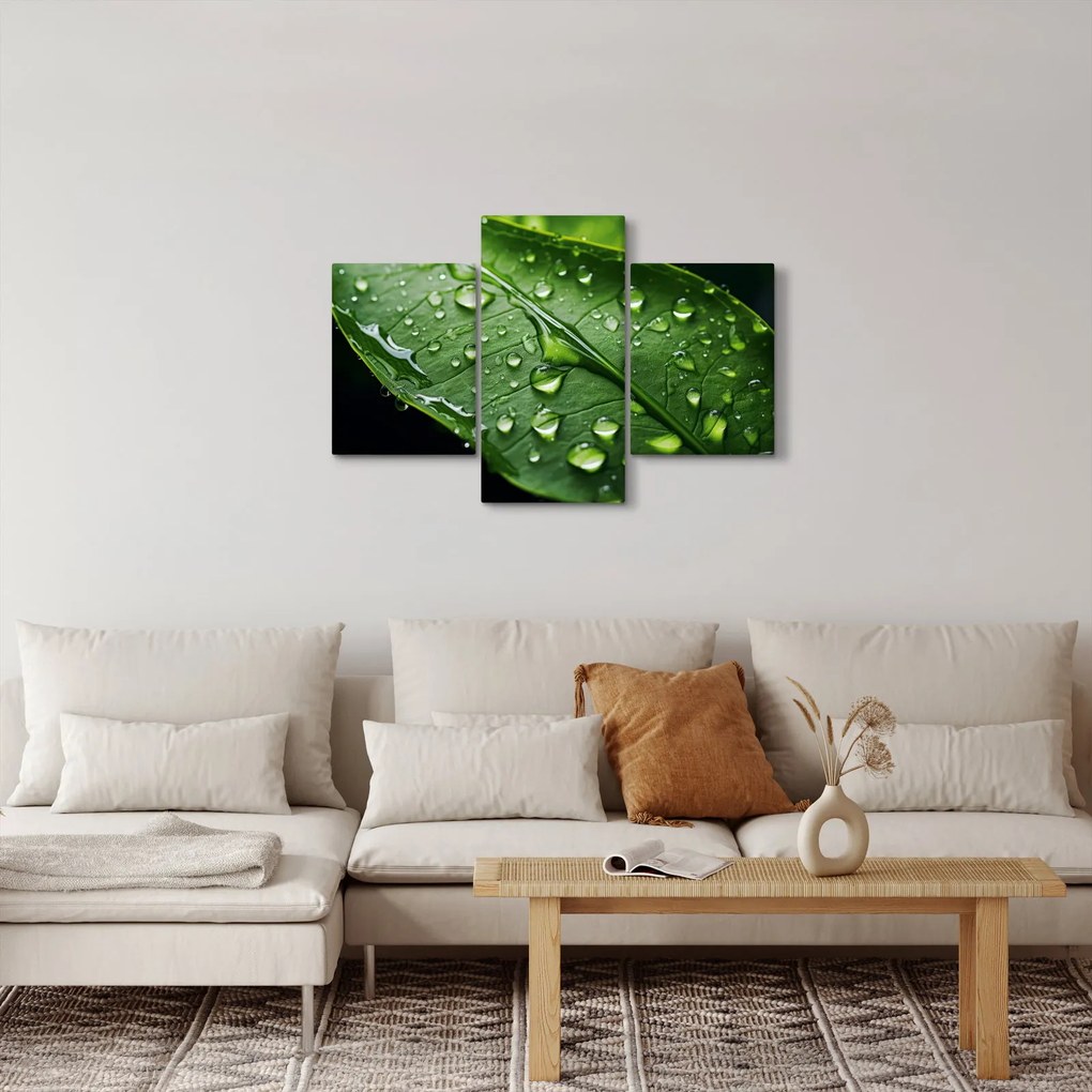 Obraz - List po daždi (90x60 cm)