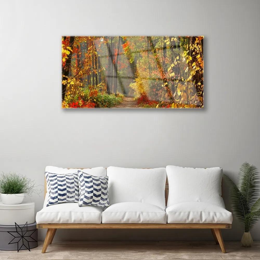 Obraz plexi Les príroda jeseň 100x50 cm