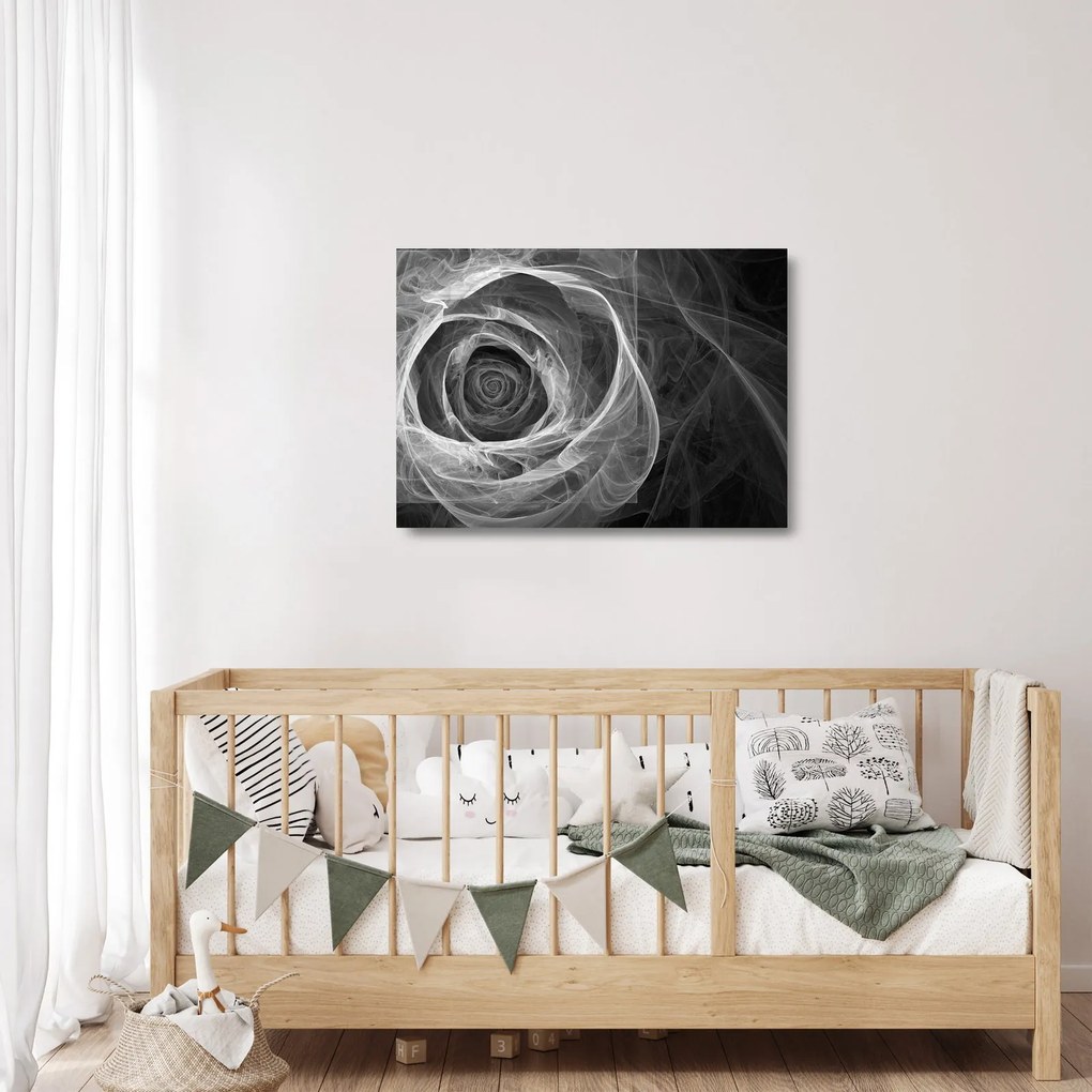 Sklenený obraz - Abstraktné ruže čiernobiela (70x50 cm)