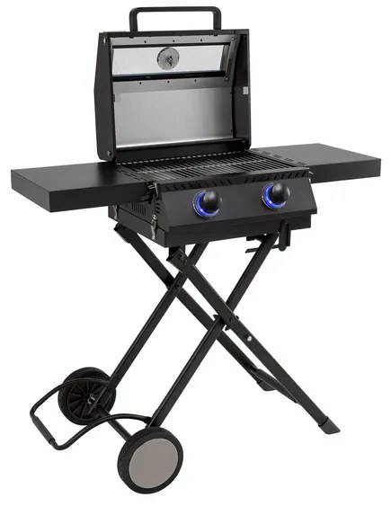 tepro Plynový gril Chicago s 2 horákmi, čierna  (100356391)