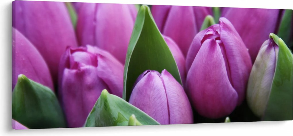 Obraz - kvety tulipánov (120x50 cm)