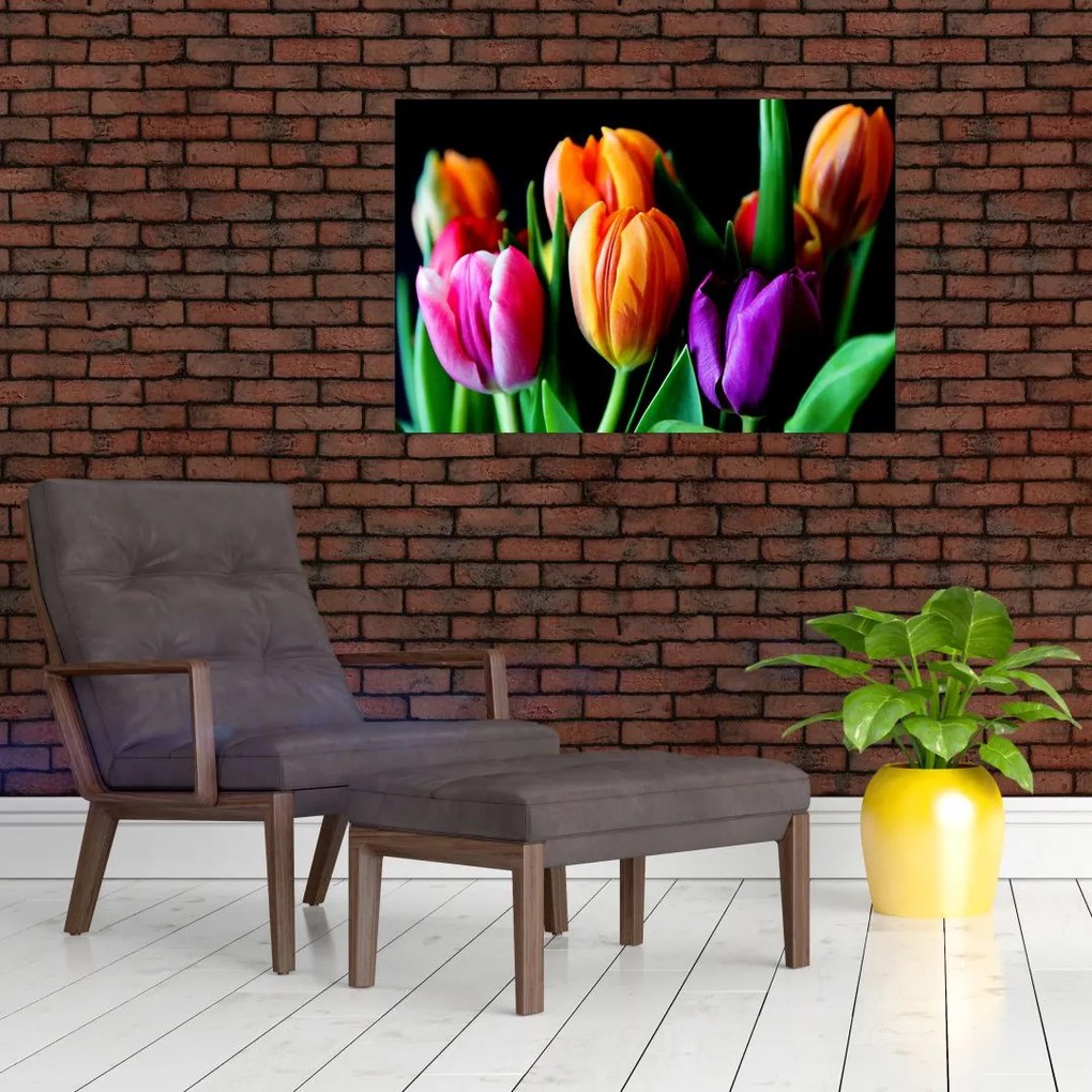 Obraz tulipánov na čiernom pozadí (90x60 cm)