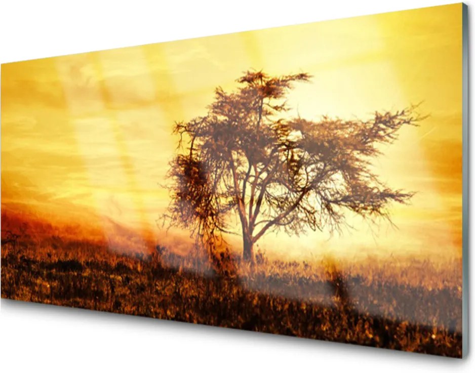 Obraz na akrylátovom skle Sklenený Strom Príroda