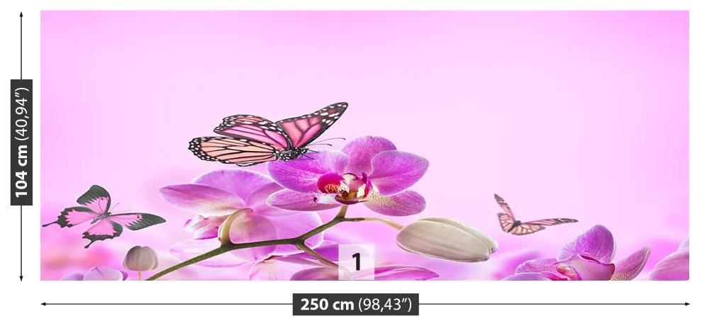 Fototapeta Vliesová Orchid motýľ 152x104 cm