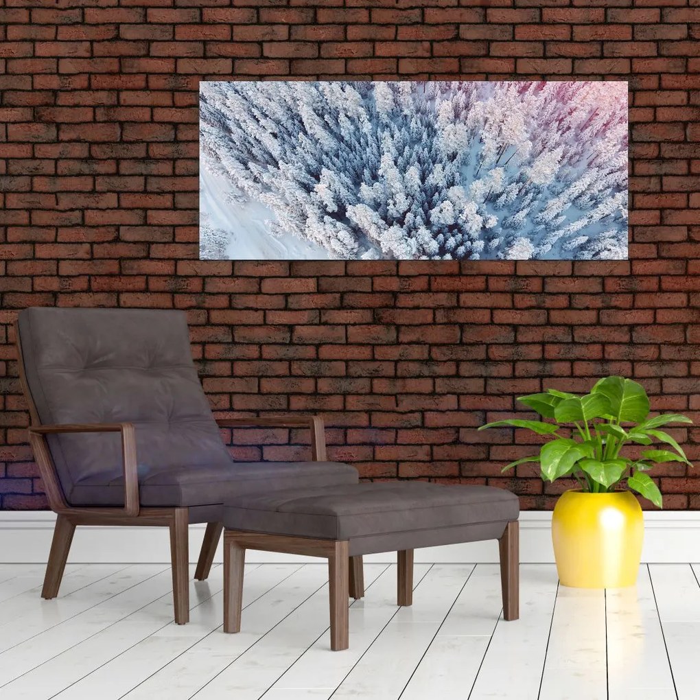 Obraz zasnežených stromov (120x50 cm)